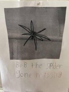 [Missing spider poster]